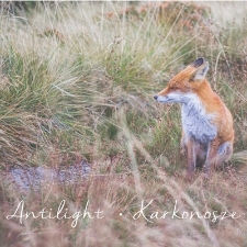 Kasia Przybyt „Antilight” - Karkonosze - katalog [Dokument elektroniczny]