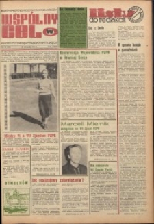 Wspólny cel : gazeta samorządu robotniczego Celwiskozy, 1975, nr 33 (624)