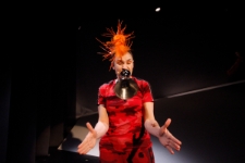 Szelmostwa Lisa Witalisa (fot. 8) [Dokument elektroniczny]