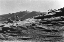 Karkonosze - zima [Dokument ikonograficzny]