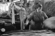 Mysłakowice - Zakłady Lniarskie Orzeł (fot. 2) [Dokument ikonograficzny]