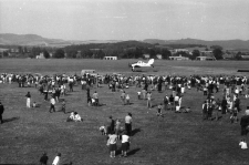 Festyn na lotnisku (fot. 2) [Dokument ikonograficzny]