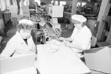 Jelenia Góra - Zakłady Farmaceutyczne Polfa (fot. 4) [Dokument ikonograficzny]