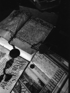 Zbiory Archiwum w Jeleniej Górze (fot. 2) [Dokument ikonograficzny]