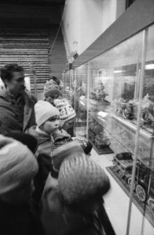 Jelenia Góra - Modelarnia PKP (fot. 6) [Dokument ikonograficzny]