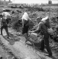Karkonosze - sprzątanie szlaków turystycznych (fot. 2) [Dokument ikonograficzny]