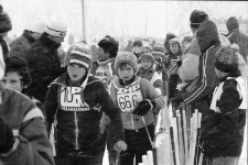 V Harcerski Bieg Narciarski w Jakuszycach (fot. 2) [Dokument ikonograficzny]