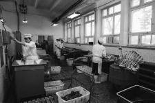 Zakład Garmażeryjny WSS Społem (fot. 2) [Dokument ikonograficzny]