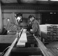 Jelenia Góra - Zakłady Przemysłu Drzewnego (fot. 2) [Dokument ikonograficzny]