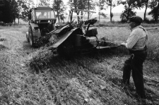 Żniwa w Karkonoszach 1988 (fot. 5) [Dokument ikonograficzny]