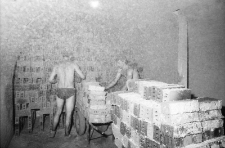 Jelenia Góra - cegielnia SOFAL (fot. 3) [Dokument ikonograficzny]