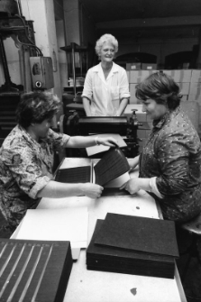 Jelenia Góra - Karkonoskie Zakłady Papiernicze (fot. 1) [Dokument ikonograficzny]