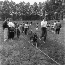 Jelenia Góra - Karkonoska Wystawa Psów Rasowych (fot. 3) [Dokument ikonograficzny]