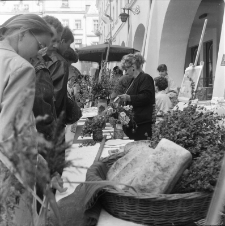 Jelenia Góra - Kiermasz Ekologiczny (fot. 3) [Dokument ikonograficzny]