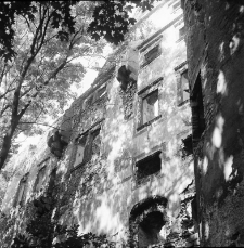 Zamek Świny (fot. 5) [Dokument ikonograficzny]