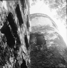 Zamek Świny (fot. 6) [Dokument ikonograficzny]