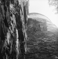 Zamek Świny (fot. 7) [Dokument ikonograficzny]