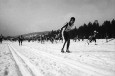 XVI Bieg Piastów (fot. 22) [Dokument ikonograficzny]