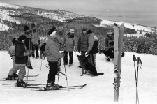 Narciarze [Dokument ikonograficzny]