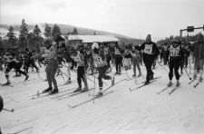 XVII Bieg Piastów (fot. 2) [Dokument ikonograficzny]