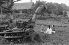 Festiwal Ekologii Neohumanistycznej w Głębocku (fot. 3) [Dokument ikonograficzny]