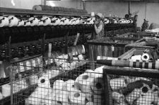 Mysłakowice - Zakłady Lniarskie Orzeł (fot. 14) [Dokument ikonograficzny]