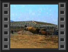 Kostrzyca : budowa banku genów [Film]