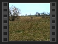 Krzyż pokutny [Film]