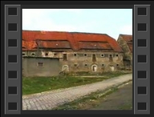 Pałac w Dziwiszowie [Film]