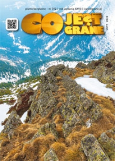 Co Jest Grane : koncentrator kultury, 2020, nr 312 luty