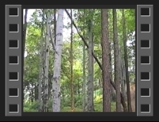 Wykopaliska archeologiczne na Wzgórzu Krzywoustego w Jeleniej Górze [Film]