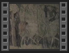 Wykopaliska archeologiczne na zamku we Wleniu [Film]