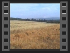 Torfowiska Izerskie [Film]