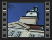 Wielka Orkiestra Świątecznej Pomocy [Film]