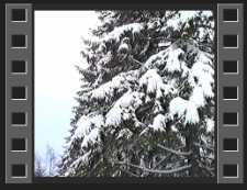 Karkonosze : trudne warunki drogowe zimą [Film]