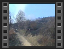 Goduszyn : pożar lasu [Film]