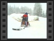 Psie zaprzęgi w Jakuszycach [Film]