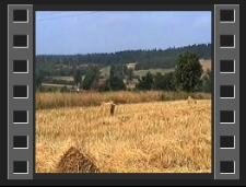 Goduszyn : żniwa w Rolniczej Spółdzielni Produkcyjnej [Film]