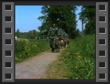 Ośrodek tresury psów straży granicznej w Żarce nad Nysą [Film]