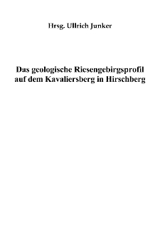 Die Granatenlöcher im Eulengrunde bei Wolfshau [Dokument elektroniczny]