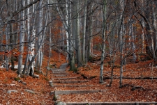 Sobieszów, zamek Chojnik [Dokument ikonograficzny]