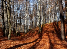 Jelenia Góra, Wzgórze Krzywoustego [Dokument ikonograficzny]