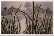 Agata Szmigrodzka "O poranku", Park Krajobrazowy w Bukowcu - pocztówka [Dokument życia społecznego]