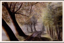 Agata Szmigrodzka "W drodze", Park Krajobrazowy w Bukowcu - pocztówka [Dokument życia społecznego]