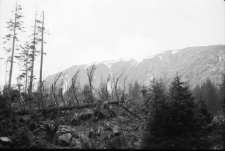 Karkonosze (fot. 2) [Dokument ikonograficzny]