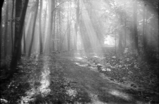 Karkonosze (fot. 4) [Dokument ikonograficzny]