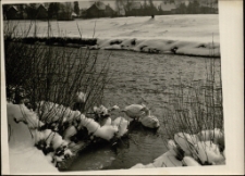 [Zima] (fot. 2) [Dokument ikonograficzny]