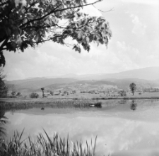 [Bociany z Podg&oacute;rzyna] (fot. 3) [Dokument ikonograficzny]