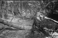 [Ćwiczenia przeciwpożarowe] (fot 1) [Dokument ikonograficzny]