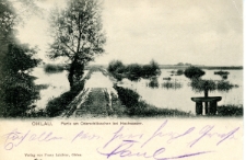 Ohlau. Partie am Oderschlӧsschen bei Hochwasser [Dokument ikonograficzny]